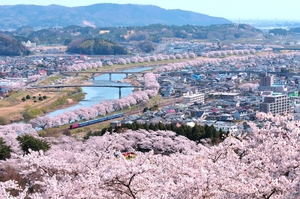 鉄道 デジ 写真 画像 ED75+12系 東北本線 花めぐり号 3