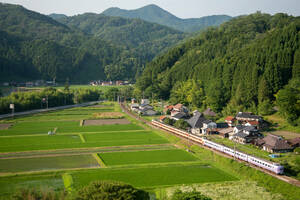 鉄道 デジ 写真 画像 381系 混色 スーパーやくも色 国鉄色 6