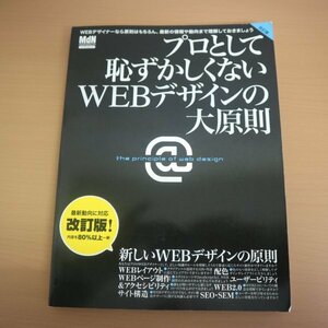 特3 82065 / プロとして恥ずかしくないWEBデザインの大原則 改訂版 2007年5月21日発行 Webレイアウト 配色 WEB2.0 サイト構造 SEO・SEM