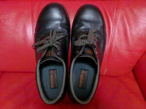 safety shoes 27.5EEE leather jis MIDORI merely asking the price watch prohibition.