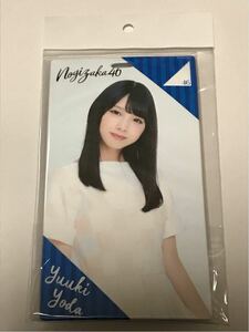 乃木坂46 チケットホルダー 与田 祐希 他 出品中の商品 スティックライトホルダー キーホルダー 西野 飛鳥 堀 橋本 白石 生田 大園 阪口