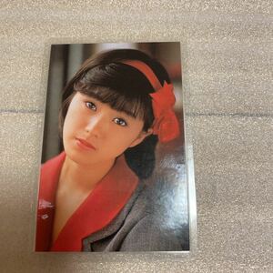 □酒井法子 ラミネートカード サンミュージック