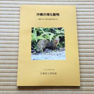 沖縄の帰化動物　海をこえてきた生きものたち　（外来生物・琉球・沖縄）