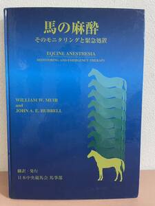 rb00 * rare! horse. anesthesia that monitor ring . urgent place .* Japan centre horse racing ./ 1998 year 