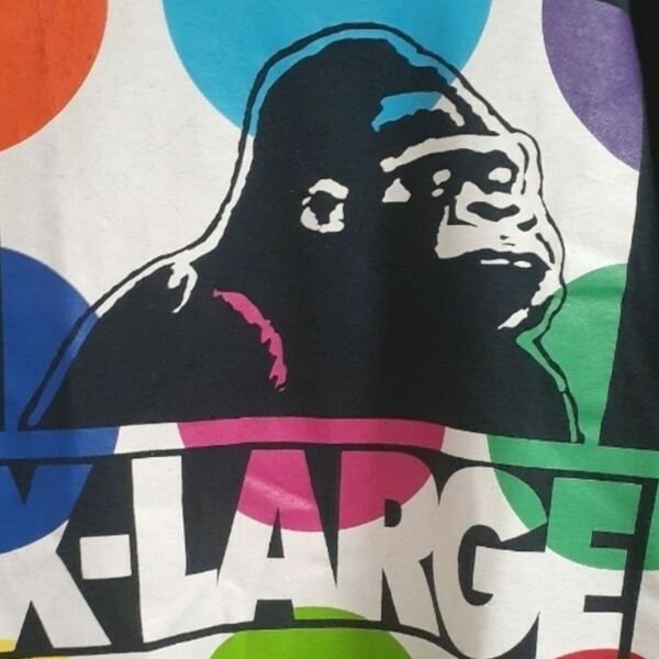 【即日発送】XLARGE 　レアカラー　ロゴ　ビッグシルエット　Tシャツ