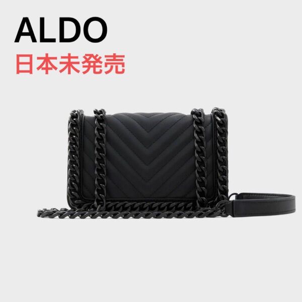 【値下げ可能】日本未発売　ALDO Minigreenwald チェーンクロスボディバッグ