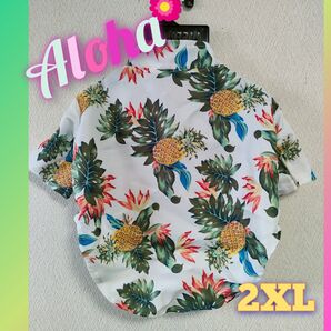 【綺麗なused】☆☆ペット用アロハシャツ☆☆ 一度試し着しただけ。