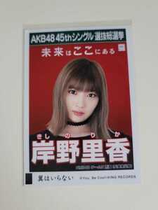 NMB48 岸野里香 AKB48 45thシングル選抜総選挙 生写真