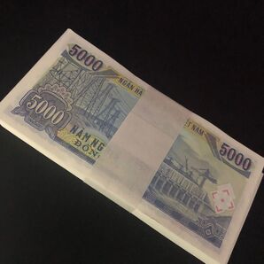ベトナムドン ベトナム紙幣 5000ドン 5千ドン 100枚