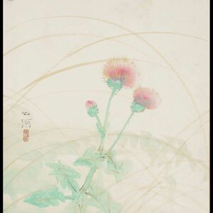 。 ◆ 錵 ◆ Noda Kuura "Tanpo" Miku Mizu Aya Color Paper [v333.3] OS13/22,6 раз/my/(80)