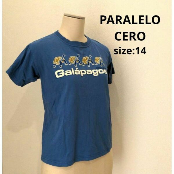 PARALELO ガラパゴス Ｔシャツ レトロ カメCERO レディース 14