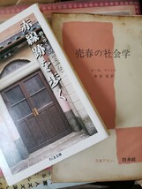 2冊セット　売春の社会学 ＋木村聡　赤線跡を歩く　消えゆく夢の街を訪ねてジャン・ガブリエル・マンシニ 寿里茂訳 【管理番号by4cp本305】_画像1