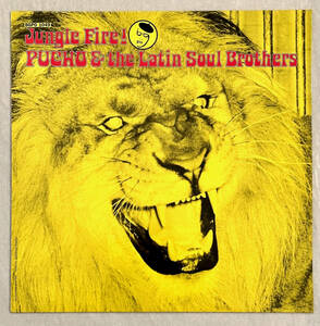 ■1992年 Reissue UK盤 Pucho & The Latin Soul Brothers - Jungle Fire! 12”LP BGPD 1049 BGP Records