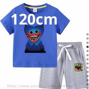 期間限定値下げ　ハギーワギー　 上下セット　 Tシャツ　ハーフパンツ