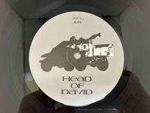 レコード　ダストボウル　DUST BOWL ヘッドオブデビット　HEAD OF DAVID BFFP18_画像6