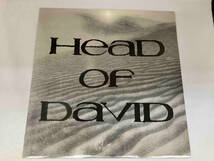 レコード　ダストボウル　DUST BOWL ヘッドオブデビット　HEAD OF DAVID BFFP18_画像7