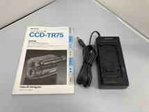 ジャンク SONY CCD-TR75_画像7