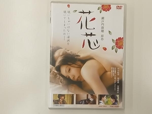 DVD 花芯