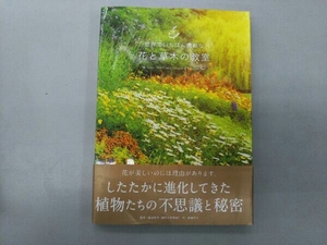 世界でいちばん素敵な花と草木の教室 稲垣栄洋