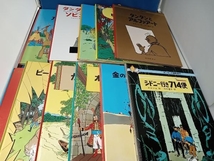 タンタンの冒険旅行24冊とTINTIN(洋書)19冊の43冊セット_画像4