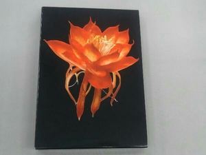 DVD シャニダールの花
