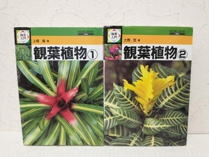 【どちらも初版】検索入門 観葉植物　全巻セット　1〜2巻　土橋豊　保育社