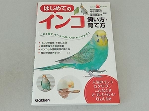 はじめてのインコ飼い方・育て方 海老澤和荘