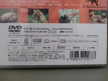 DVD／子猫物語_画像6
