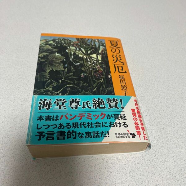 夏の災厄 （角川文庫　し３１－７） 篠田節子／〔著〕