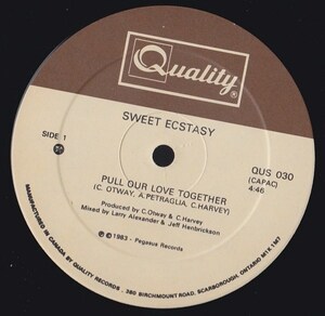 ダンクラ12inch★SWEET ECSTASY / Pull our love together / Jam party★Quality★