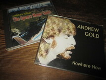 andrew gold / the spence manor suite (廃盤!!CDシングル付き送料込み!!)_画像1