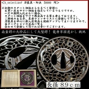 【刀装具 #2943】 （鍔） 南蛮鍔の大珍品にして長径：8.9cmの大型鍔！ 龍唐草図透かし 鉄地 【切羽台にまで細工の施された大鍔！】