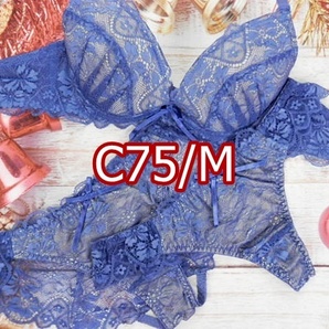 PR01-C75/M【1点限り商品】ブラ・フル・Tバックショーツセット ランジェリー インナー 下着