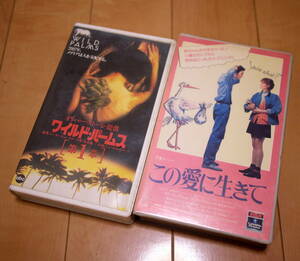 【中古】VHS ２本　この愛に生きて／ワイルド・パームス第１章　オリバーストーン監督