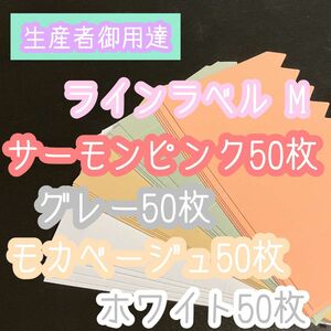 ラインラベル 中 肌/茶/灰/白 各 50枚 カラー 多肉植物 エケベリア 