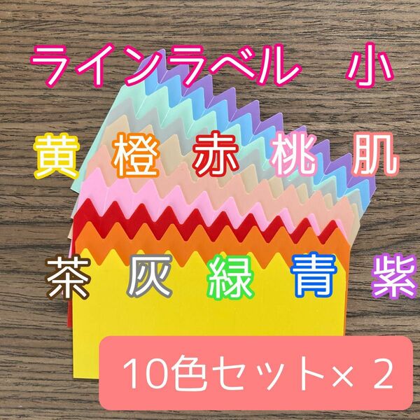 ラインラベル 小 10色セット×2 合計200枚 園芸カラーラベル 多肉植物 エケベリア