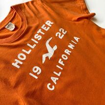 HOLLISTER VINTAGE加工 半袖 Tシャツ Lサイズ ホリスター ビンテージ加工 サーフ系 カリフォルニア CALIFORNIA T shirts_画像3