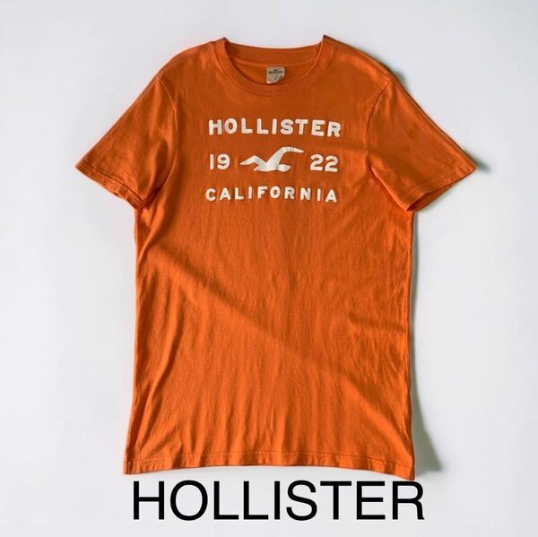 HOLLISTER VINTAGE加工 半袖 Tシャツ Lサイズ ホリスター ビンテージ加工 サーフ系 カリフォルニア CALIFORNIA T shirts