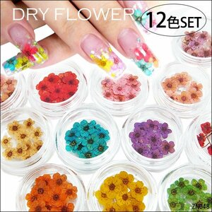 押し花【B】ドライフラワー 12種類セット ハンドメイド アクセ UVレジン パーツ 素材 メール便/21