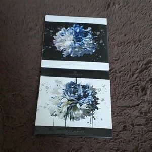 CD+DVD BAROQUE「AN ETERNITY」「FLOWER OF ROMANCE」 / バロック 新品未開封 セット