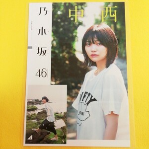 『雑誌グラビア ラミネート加工』A-004 B5 6枚12ページ 少年マガジン 2022年8月31日 乃木坂46 中西アルノ 100μ ※15 