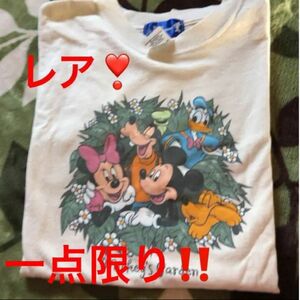 ディズニーランド　Tシャツ MADE IN USA