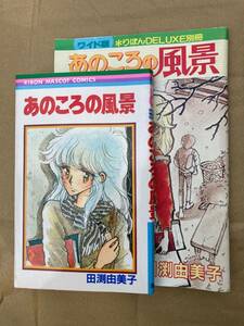 あのころの風景/ 田渕由美子　集英社 りぼんマスコットコミックス　りぼん昭和56年2月号付録とセットです　当時もの　