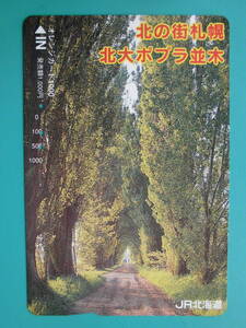 JR北 オレカ 使用済 北大 ポプラ並木 ② 【送料無料】