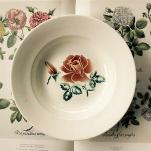 フランスアンティーク Digoin Sarreguemines 薔薇とスーププレートc 1922~1965s サルグミンヌ ヴィンテージ 皿 ローズ 陶器 レトロ リム