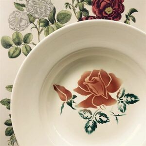 フランスアンティーク Digoin Sarreguemines 薔薇とスーププレートa 1922~1965s サルグミンヌ ヴィンテージ 皿 ローズ 陶器 レトロ リム