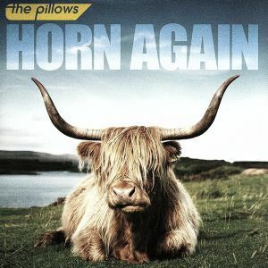 ＨＯＲＮ　ＡＧＡＩＮ／ｔｈｅ　ｐｉｌｌｏｗｓ