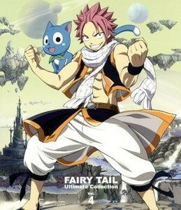 ＦＡＩＲＹ　ＴＡＩＬ　－Ｕｌｔｉｍａｔｅ　ｃｏｌｌｅｃｔｉｏｎ－　Ｖｏｌ．４（Ｂｌｕ－ｒａｙ　Ｄｉｓｃ）／真島ヒロ（原作）,柿原徹