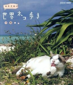  скала . свет .. мир кошка .. Okinawa (Blu-ray Disc)| скала . свет .( фотосъемка )