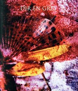 ＦＲＯＭ　ＤＥＰＲＥＳＳＩＯＮ　ＴＯ　［ｍｏｄｅ　ｏｆ　１６－１７］（Ｂｌｕ－ｒａｙ　Ｄｉｓｃ）／ＤＩＲ　ＥＮ　ＧＲＥＹ